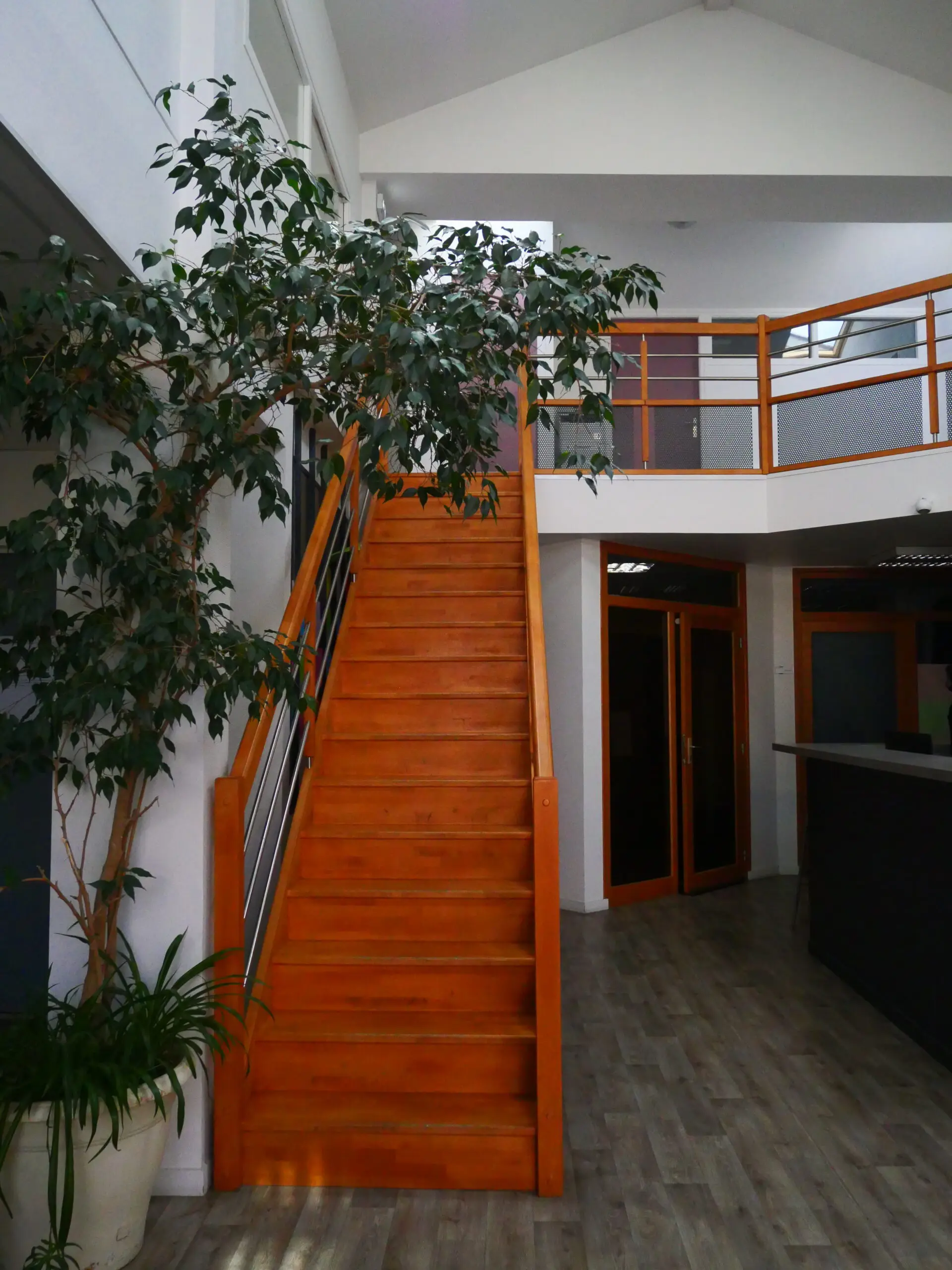 Photo de l'établissement