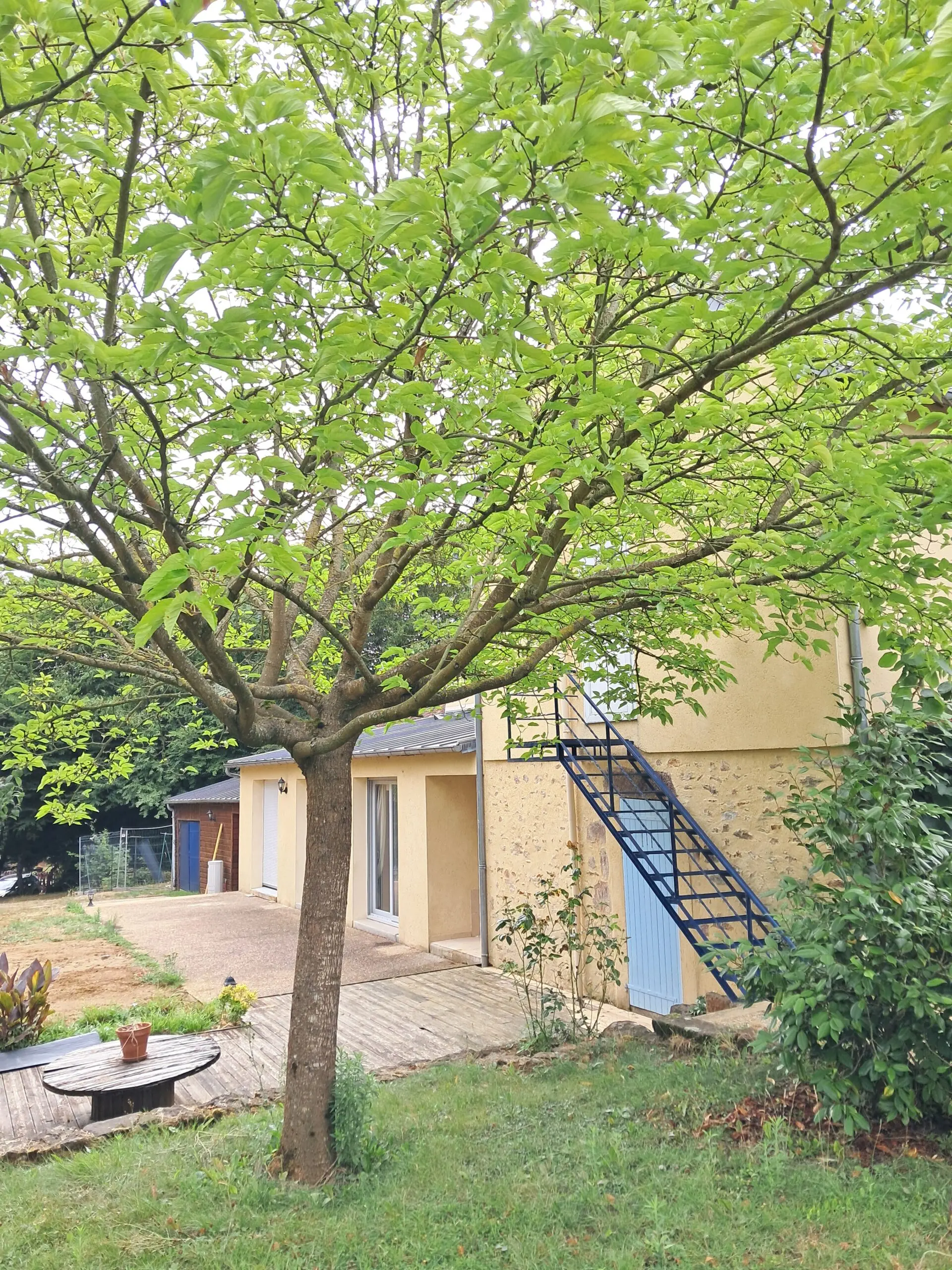 Photo de l'établissement